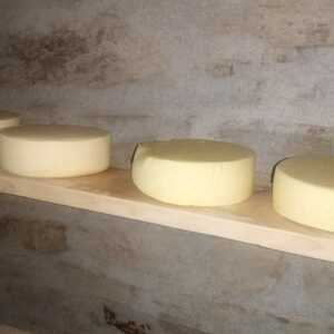 Kalimpong Cheese