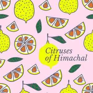 Disappearing Citrus, Disappearing Cultures