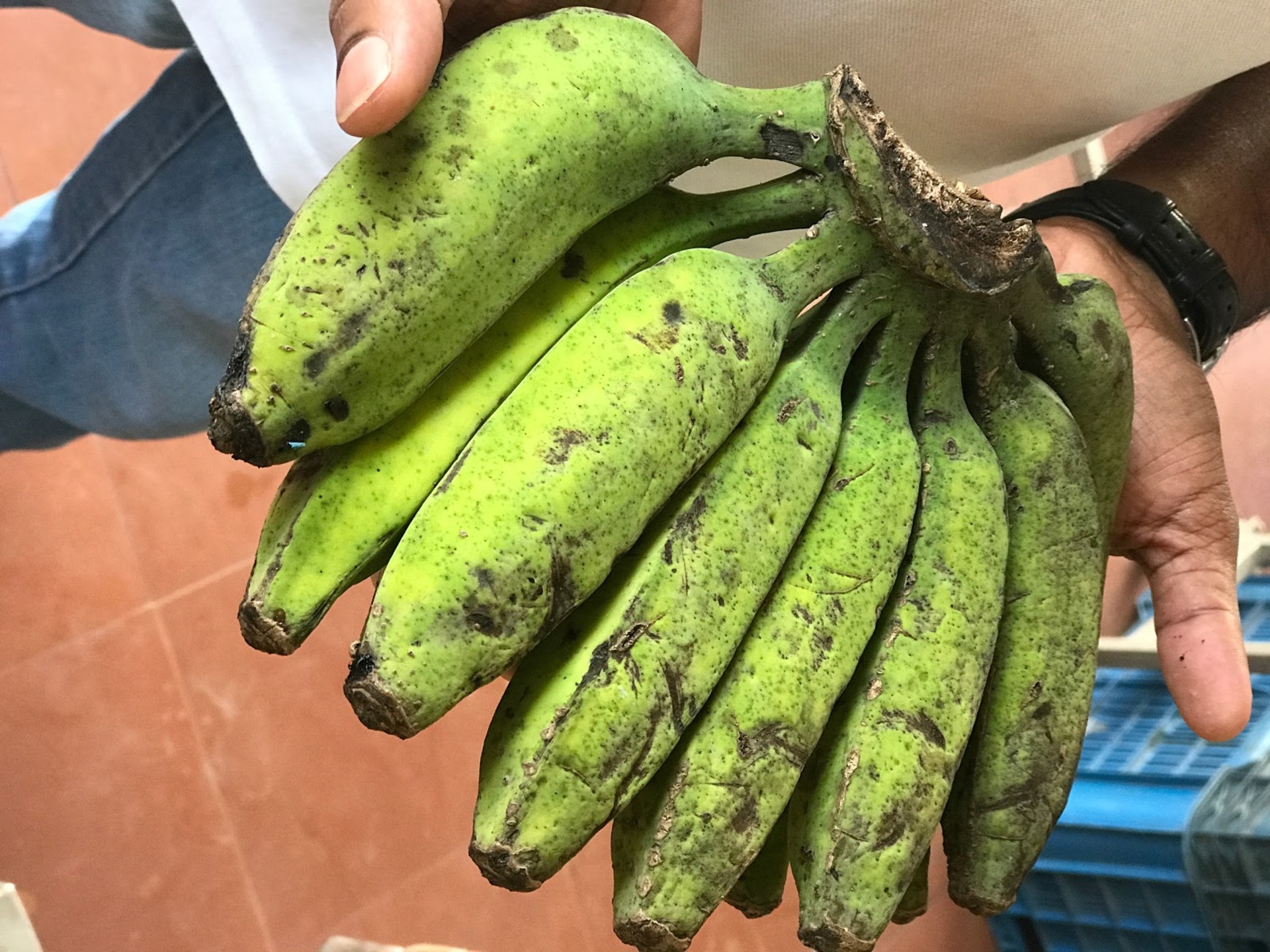  Virupakshi Bananas