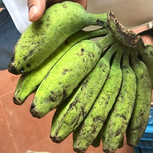  Virupakshi Bananas