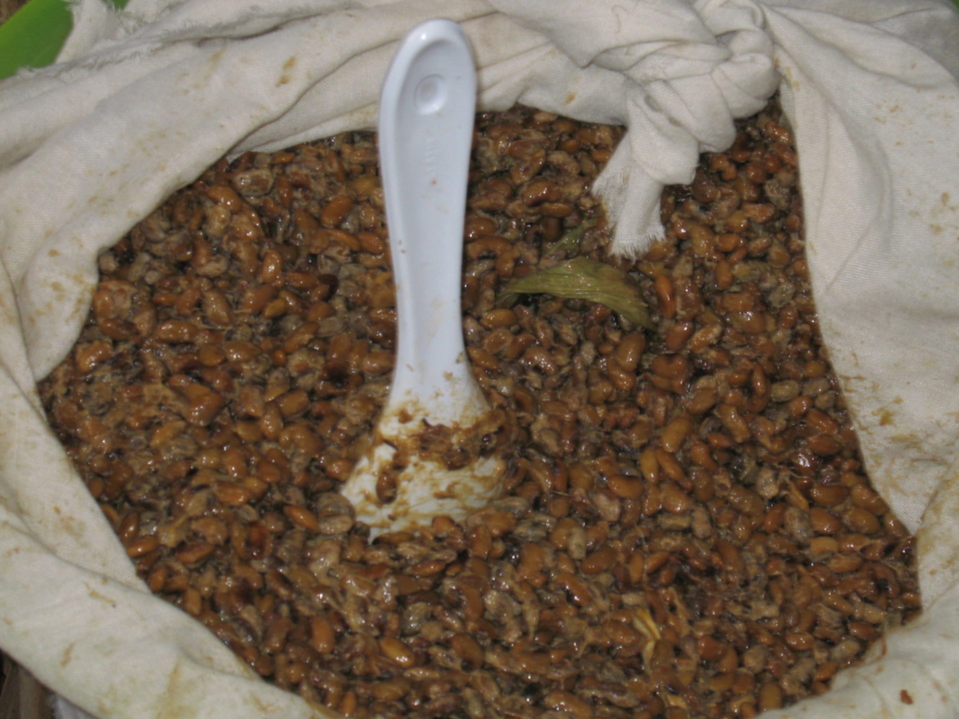 Preservation Techniques in Mizo Food